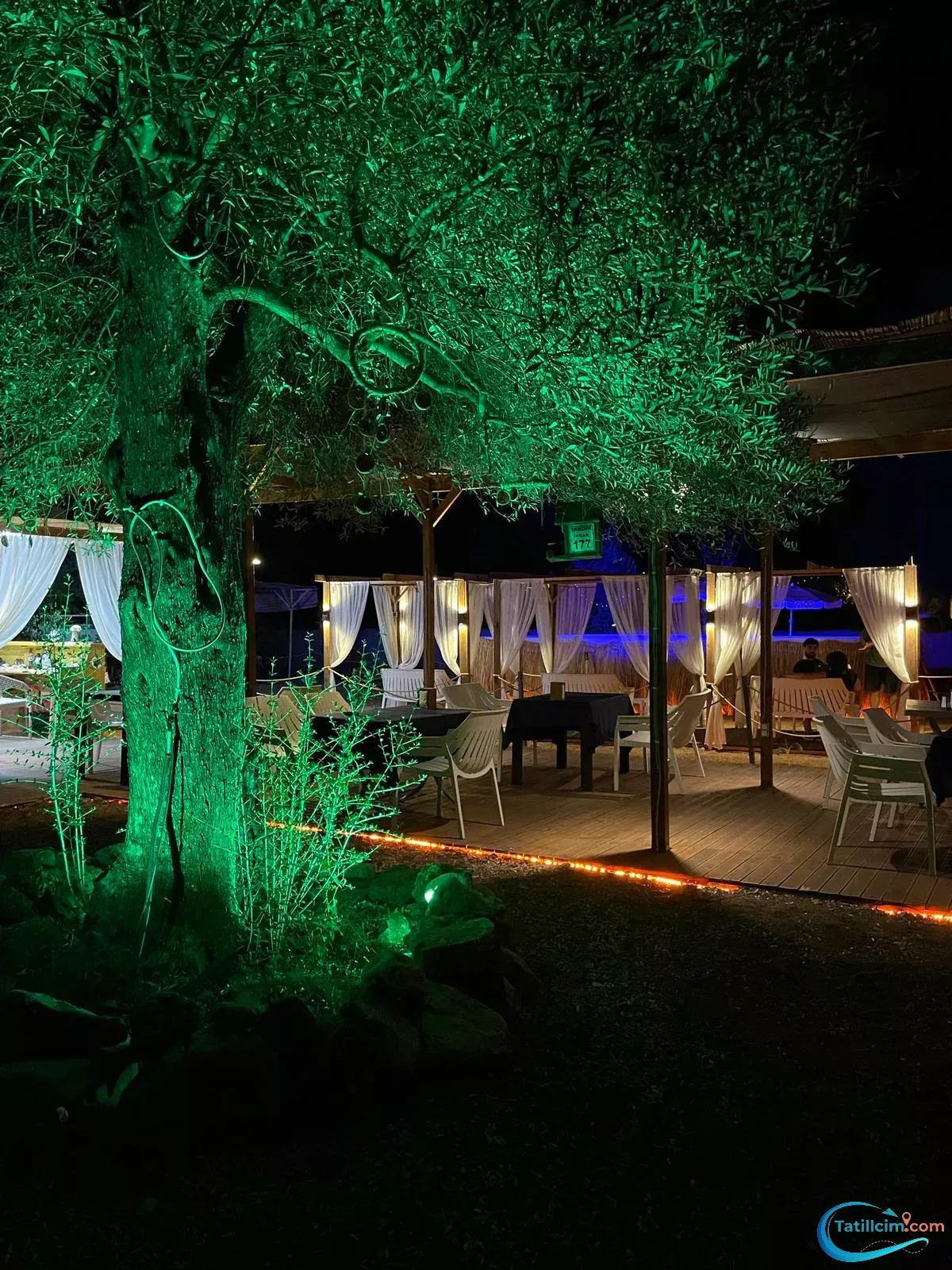 tatilcim.com Eylül Pansiyon Olimpos